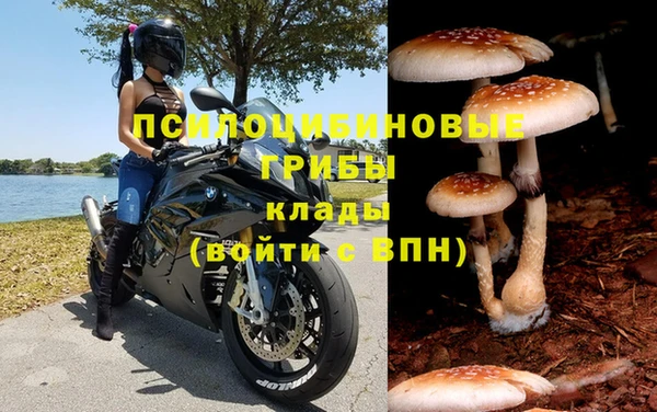 бутират Кукмор