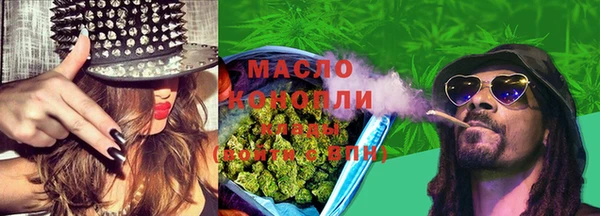 соль ск Кулебаки