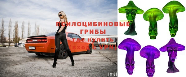 соль ск Кулебаки